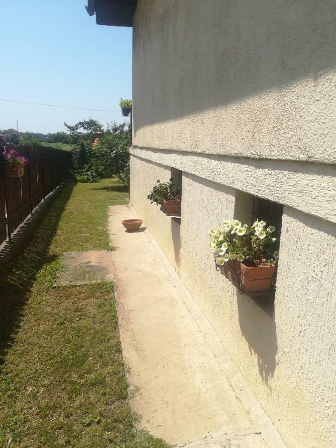 Anejo Apartment Белград Экстерьер фото